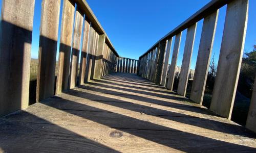 Les cottages du Bassin d'Arcachon - photo 3