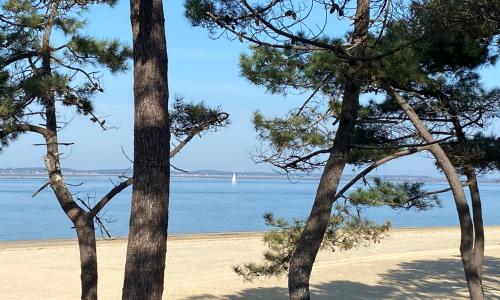 Les cottages du Bassin d'Arcachon - photo 2